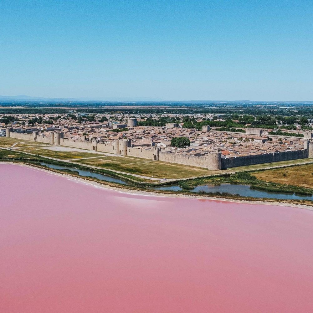 Accompagnement pour la définition et l’activation de la charte éditoriale et de la stratégie de communication et de notoriété