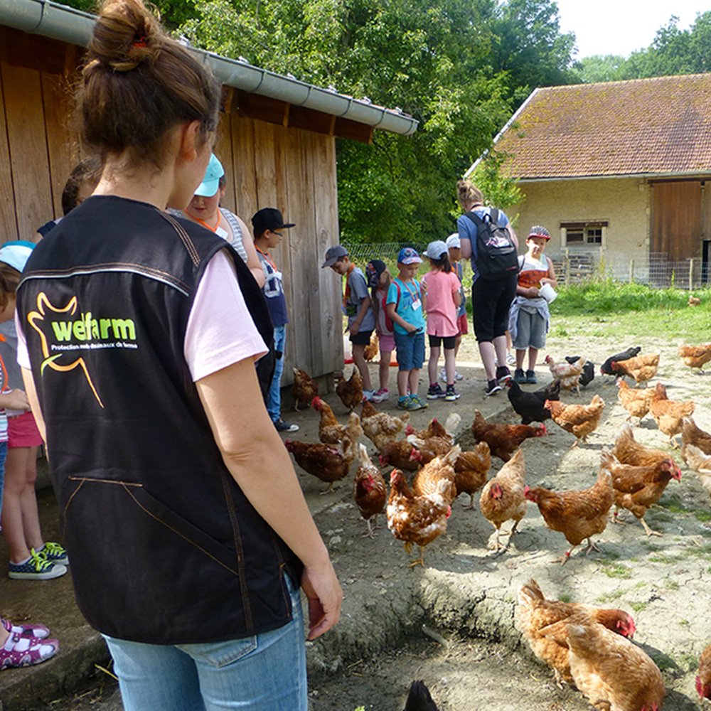 Accompagnement pour la réalisation de l’étude d’opportunité pour la création d’un refuge pour animaux issus de l’élevage industriel pour l’association de la Protection  Mondiale des Animaux de Ferme 