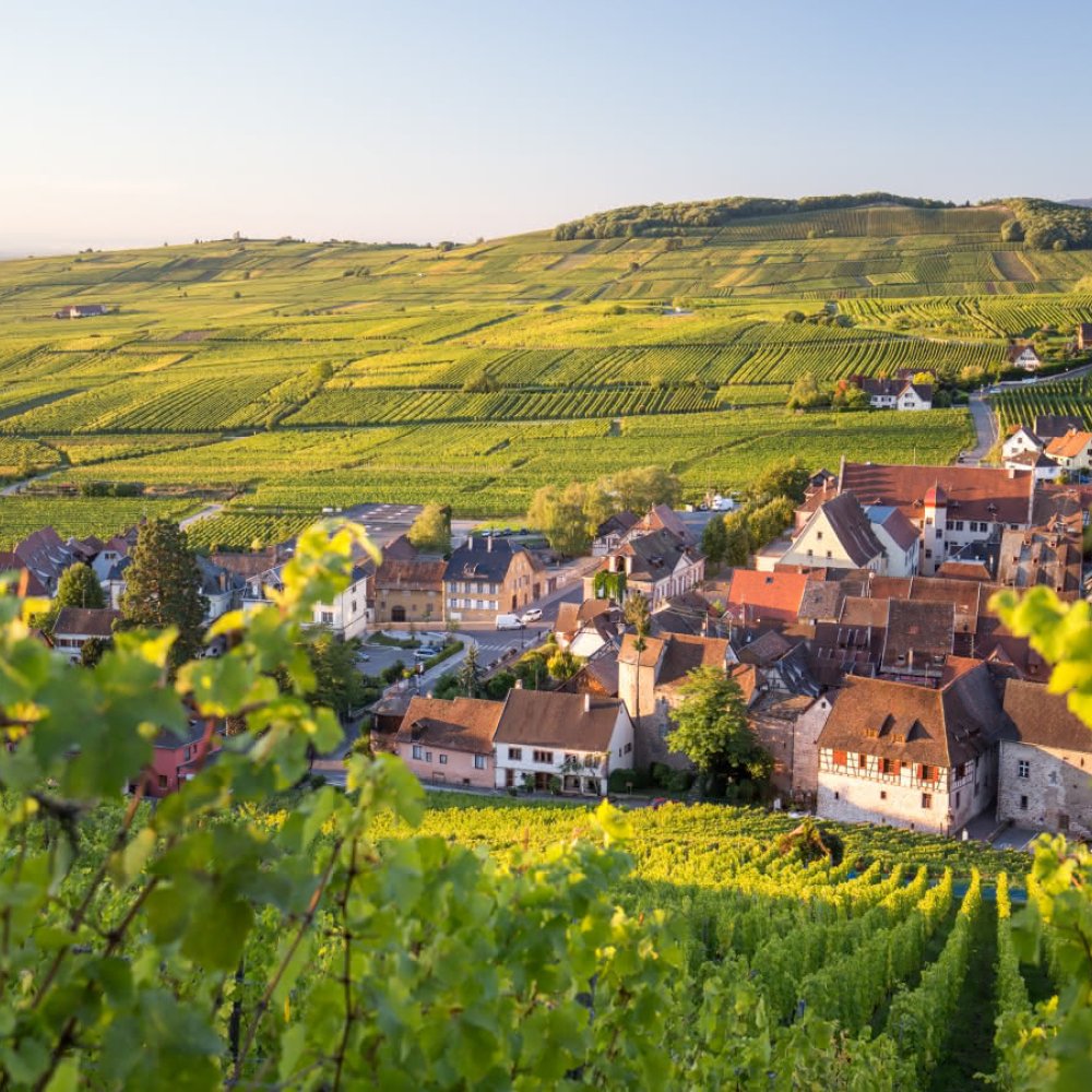 Accompagnement à la durabilité des acteurs : Formation Référent Tourisme durable 