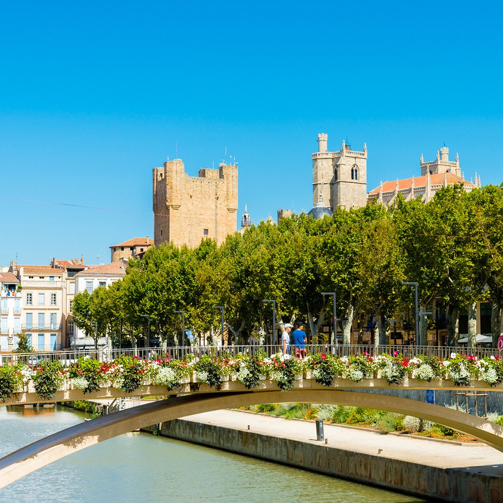 Etude des clientèles de la Narbonnaise Méditerranée