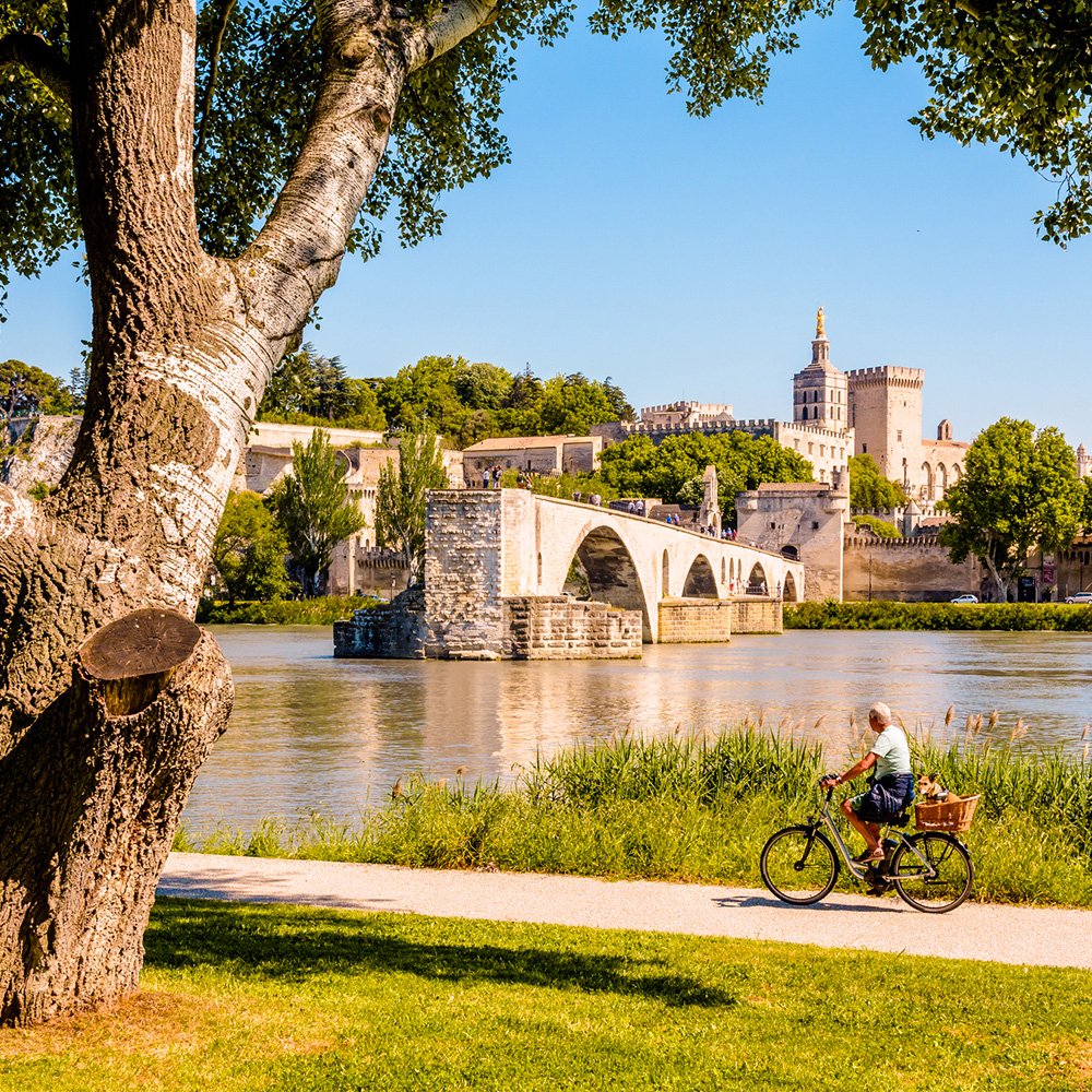 Etude d’opportunité et de faisabilité pour la réalisation d’un espace d’activité de pleine nature au Cœur d’Avignon