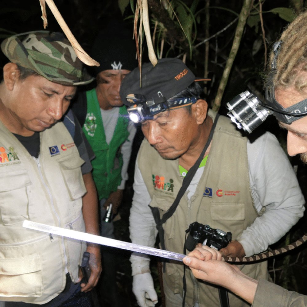 Accompagner l’association « Nature Conserv’Action » dans sa structuration du projet bénévole vers l’ONG employeuse