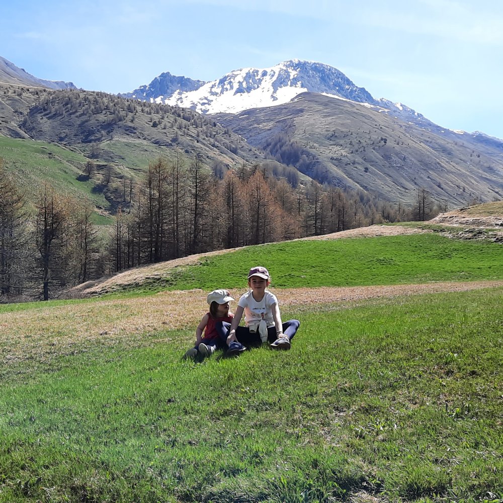 Evaluation d’impact du Programme Opérationnel Interrégional du Massif Alpin 2014-2020