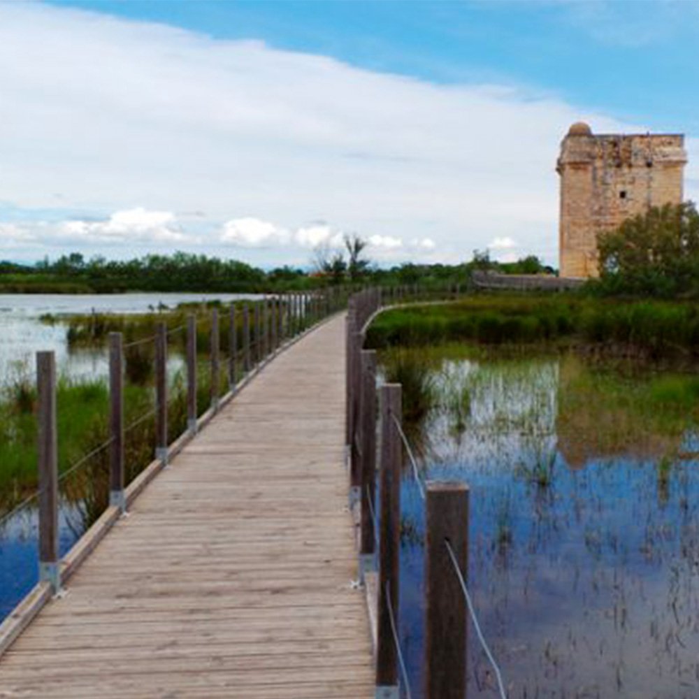  Rénovation du réseau des ambassadeurs du patrimoine, biodiversité et paysages