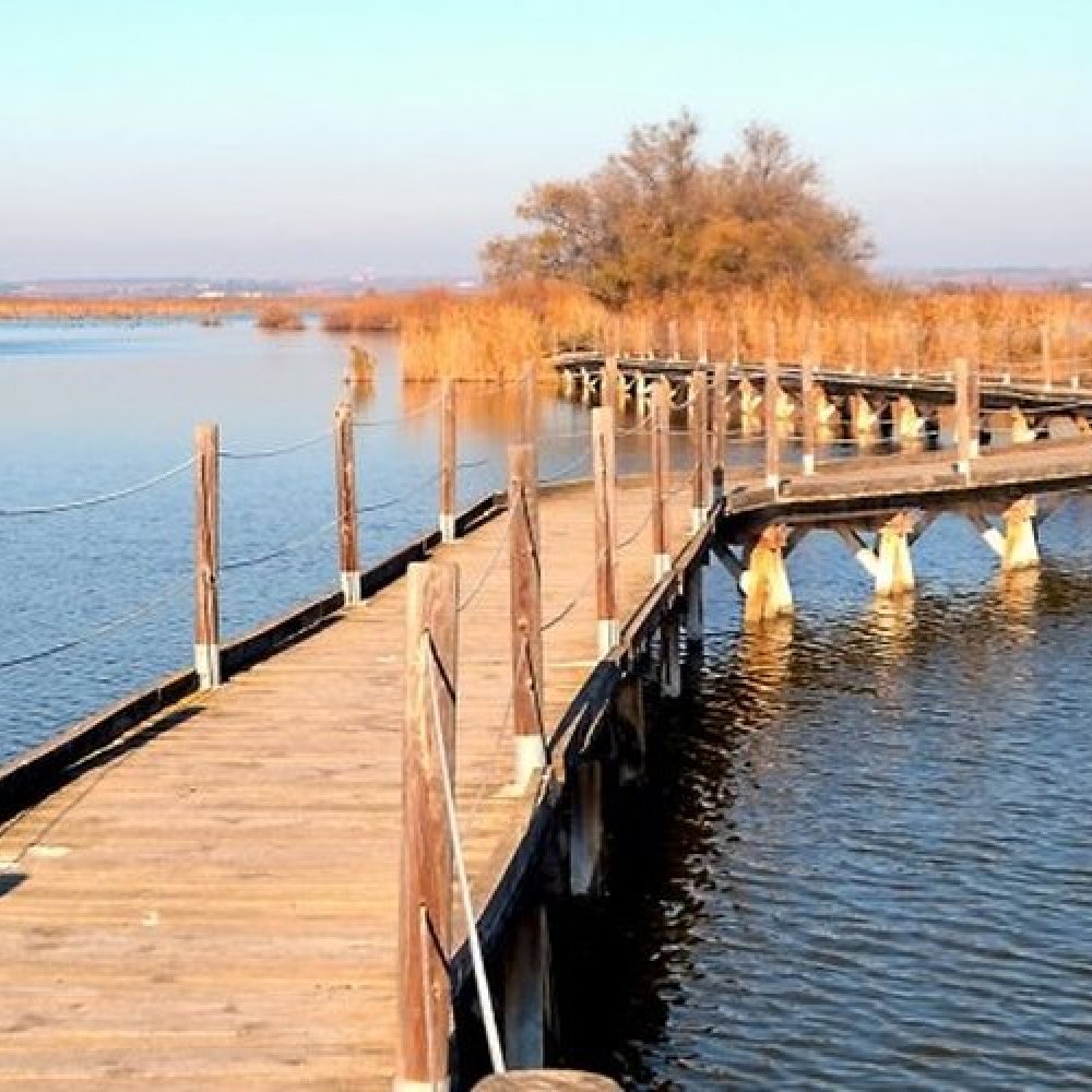 Formation / accompagnement pour co-construire un Schéma d’Accueil et de Diffusion de l’Information pour le Cœur de Petite Camargue 