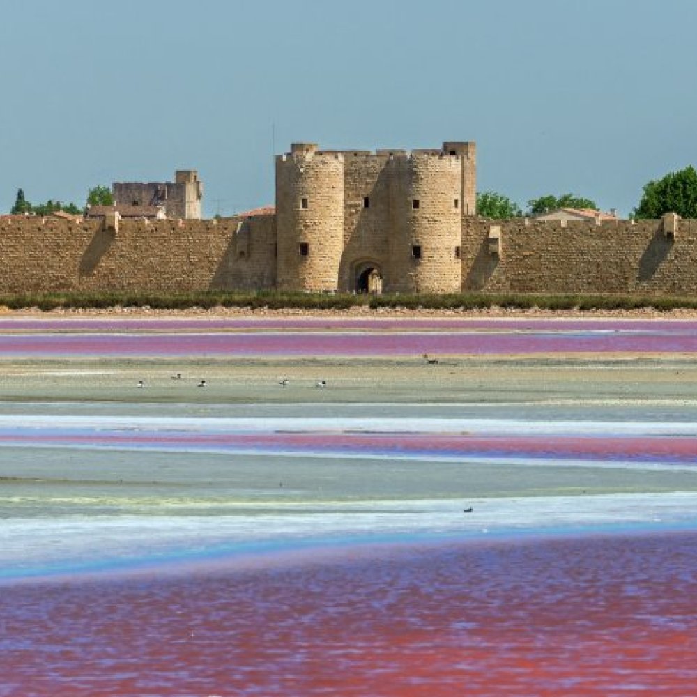  Définition du positionnement marketing et la création de la marque de destination d’Aigues-Mortes